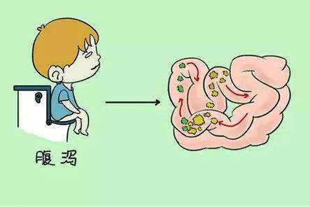 腹泻时吃什么食物